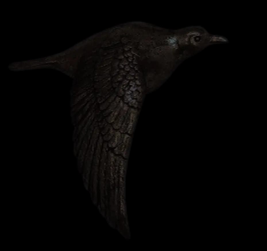 Right Bird